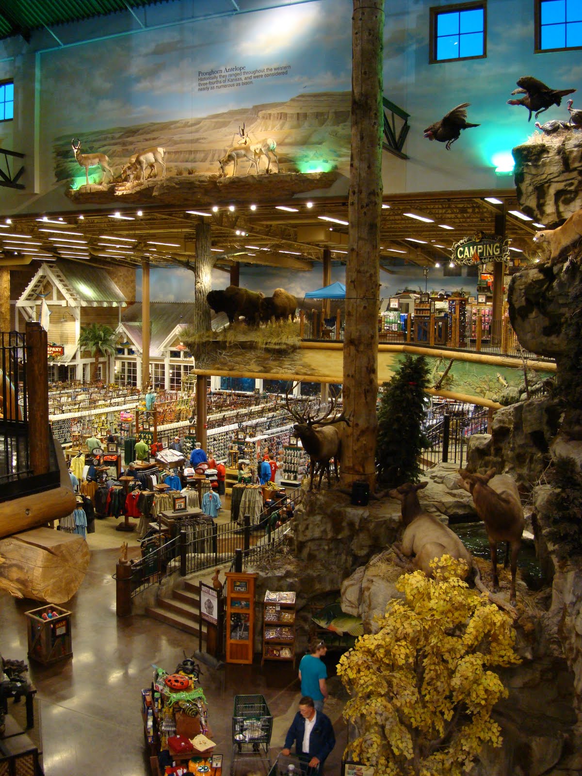 Running amuck... Kansas Cabela's and Bass Pro Shops