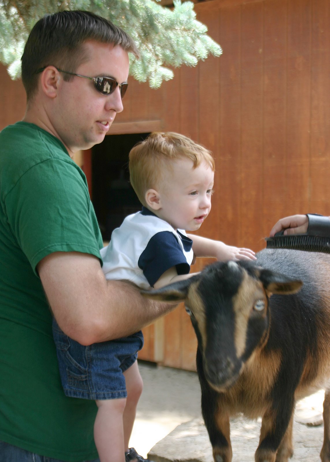 [Daddy+and+Jason+petting+a+goat.jpg]