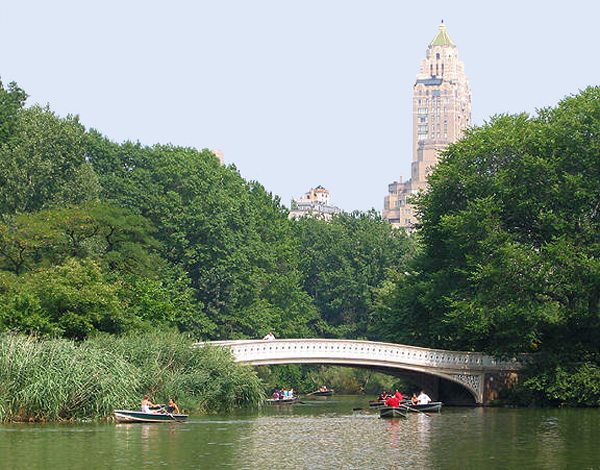 sunbathers in central park ny. sunbathers in central park ny.