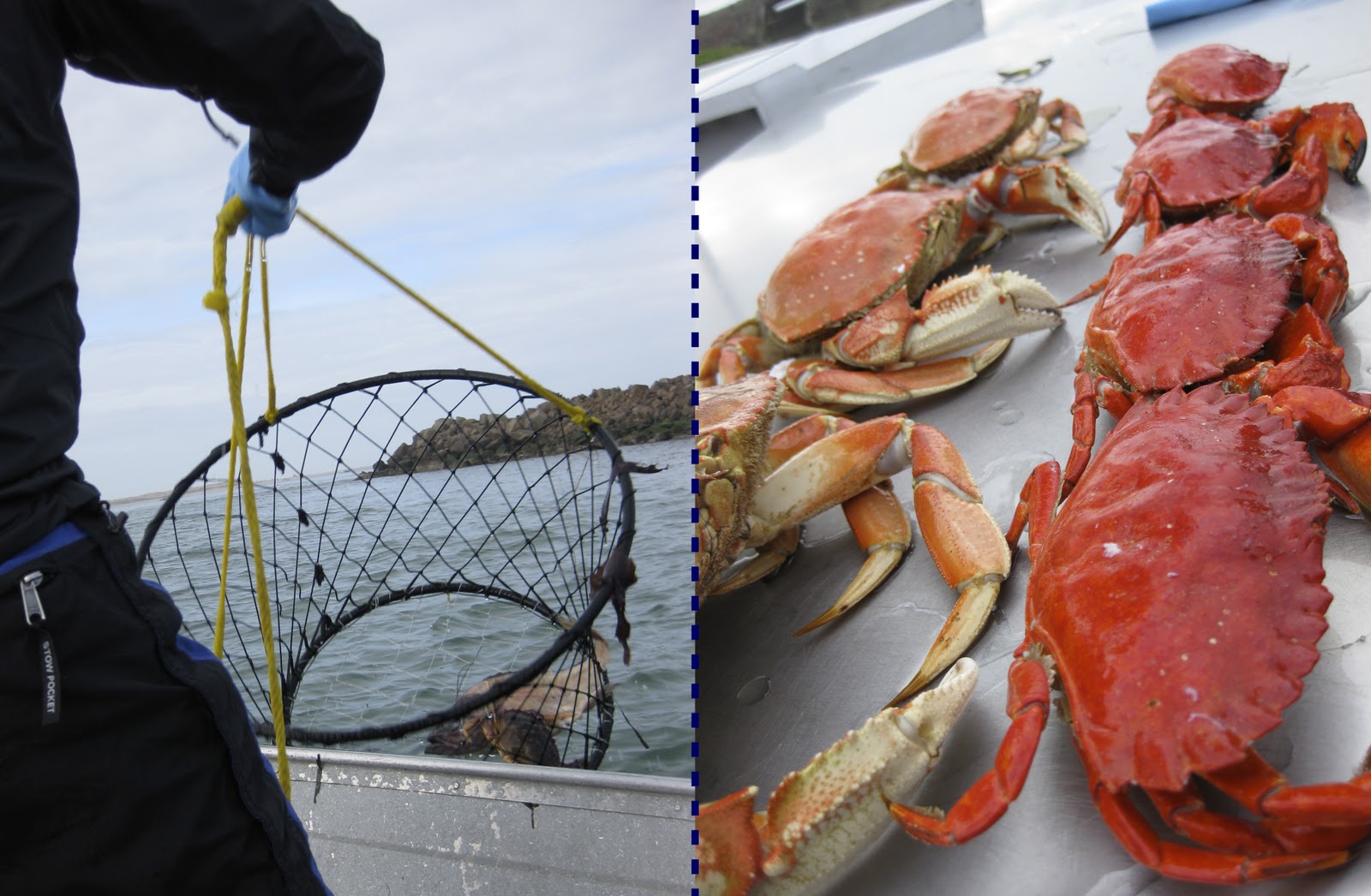 Oregon+Coast+Netarts+Crabbing.jpg