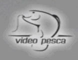 VIDEO PESCA TV