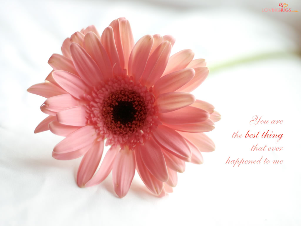http://2.bp.blogspot.com/_C1zj0Z2wOog/TBNNUC1gbtI/AAAAAAAAAho/PzR750FBsP0/s1600/love-wallpaper14.jpg