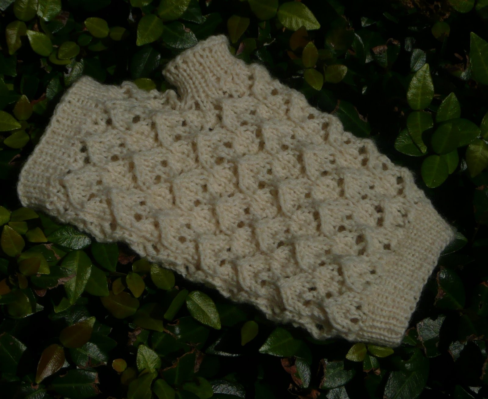 [Lace+mittens10.jpg]