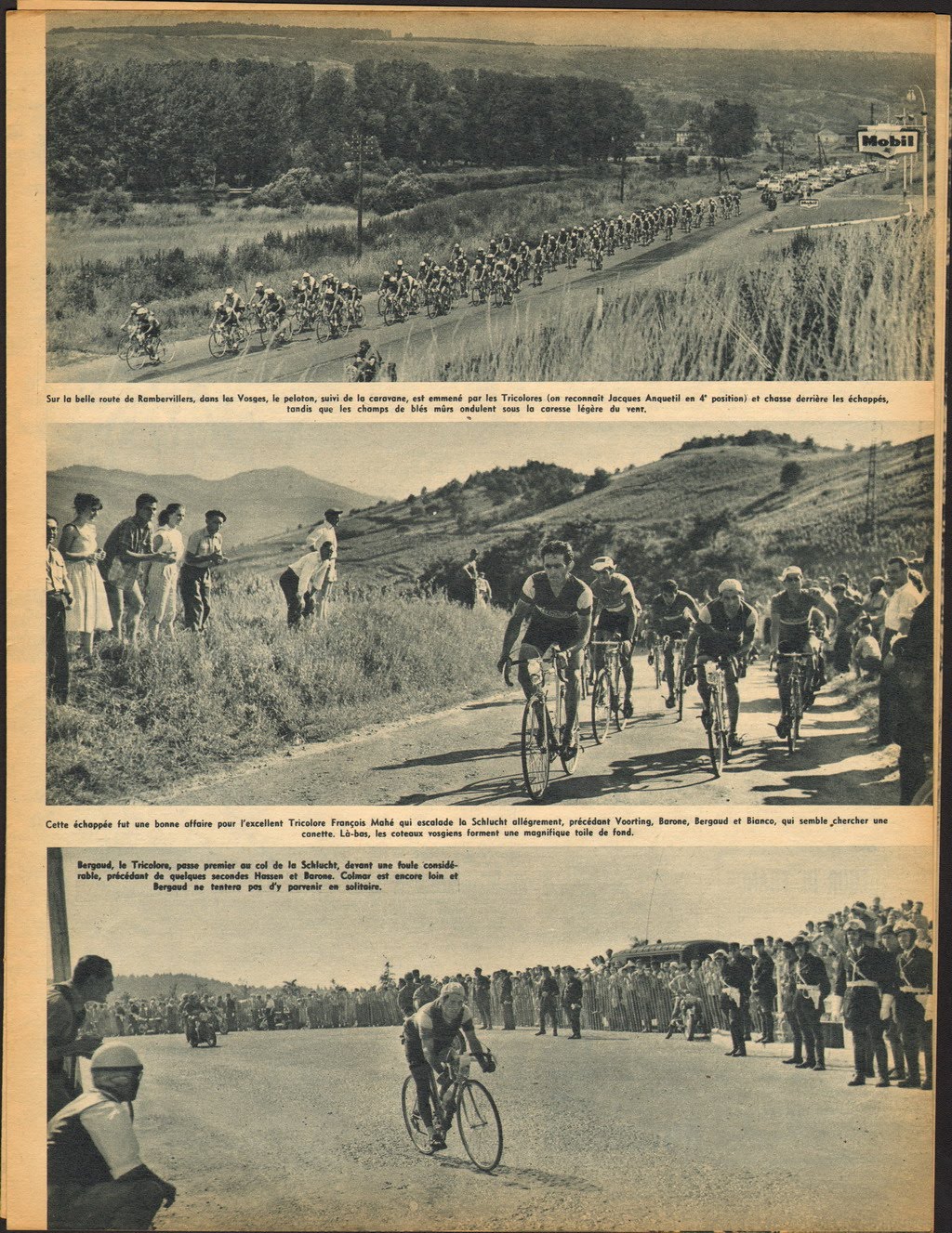 Cycling Passions 44th Tour de France 1957