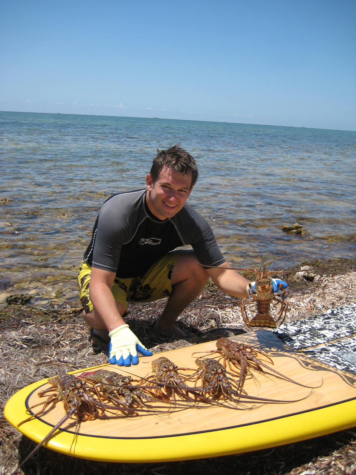 The FloRhodeians Lobster Boy