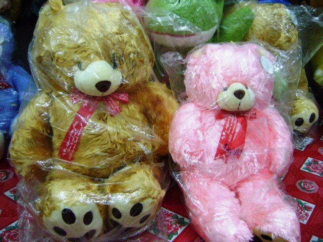 [bear.JPG]