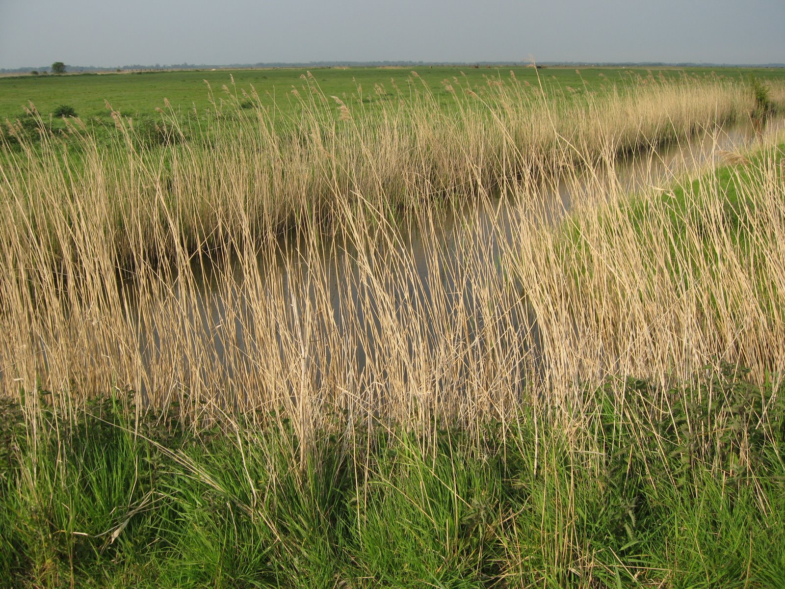 [IMG_7756.JPG]