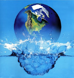 Água: Indispensável no Planeta