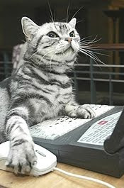 chat rooms military singles