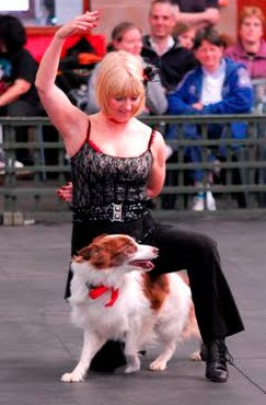 Canine Freestyle Dancing