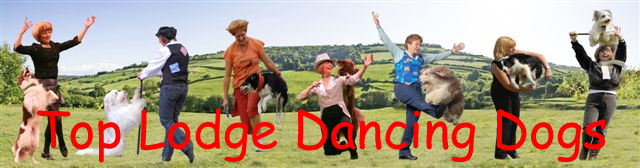 Top Lodge Dancing Dogs