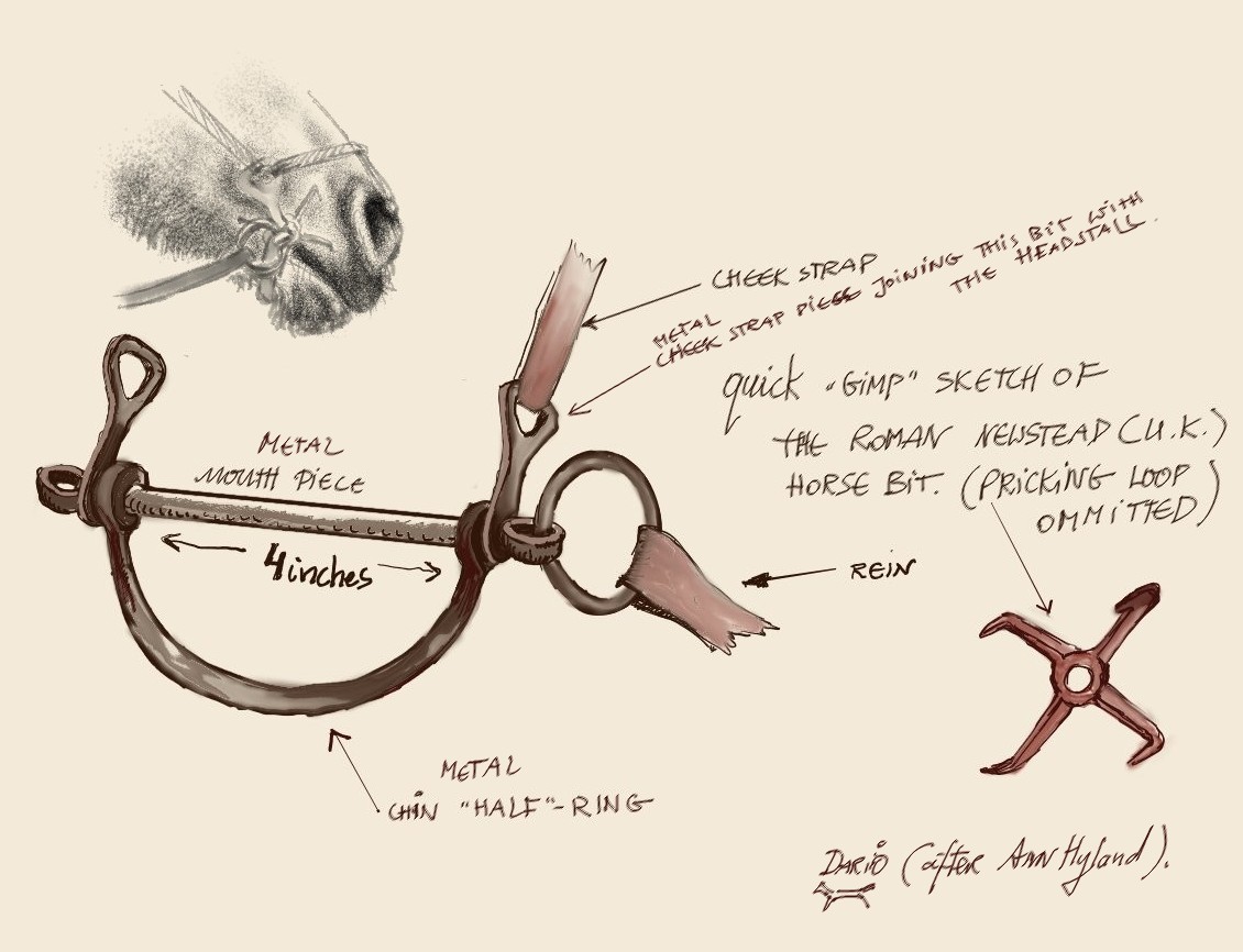 Dariusz caballeros Ancient Roman Cavalry Saddle