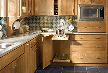 Home Needed November 2009