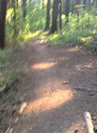 trail