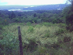 Aracaju