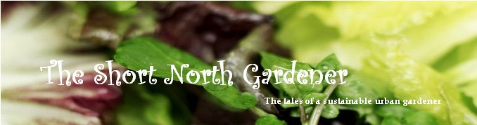 The Short North Gardener