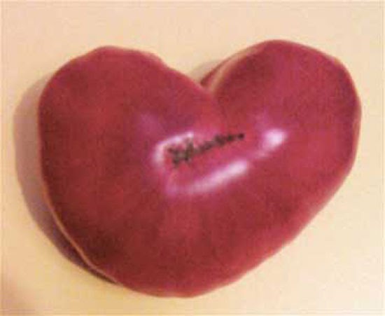 Dolce Cape Cod You say tomato, I say...