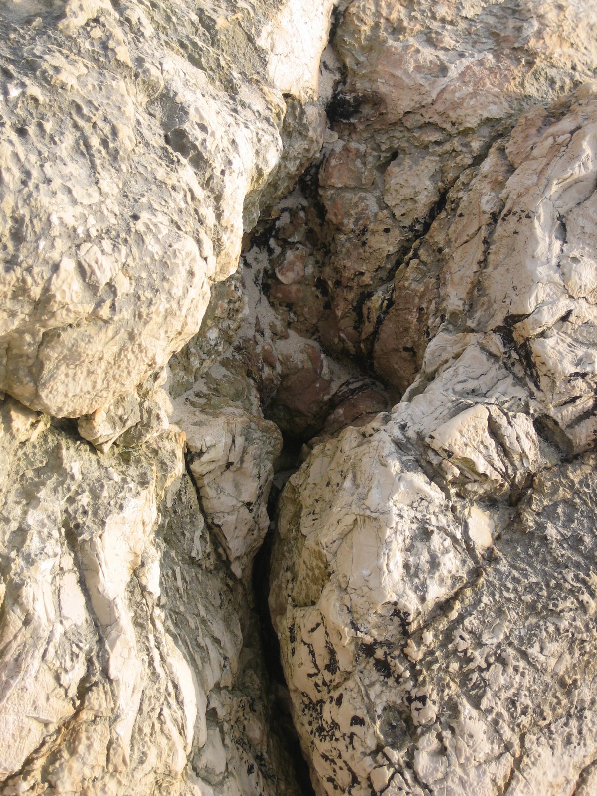 [IMG_5189.JPG]