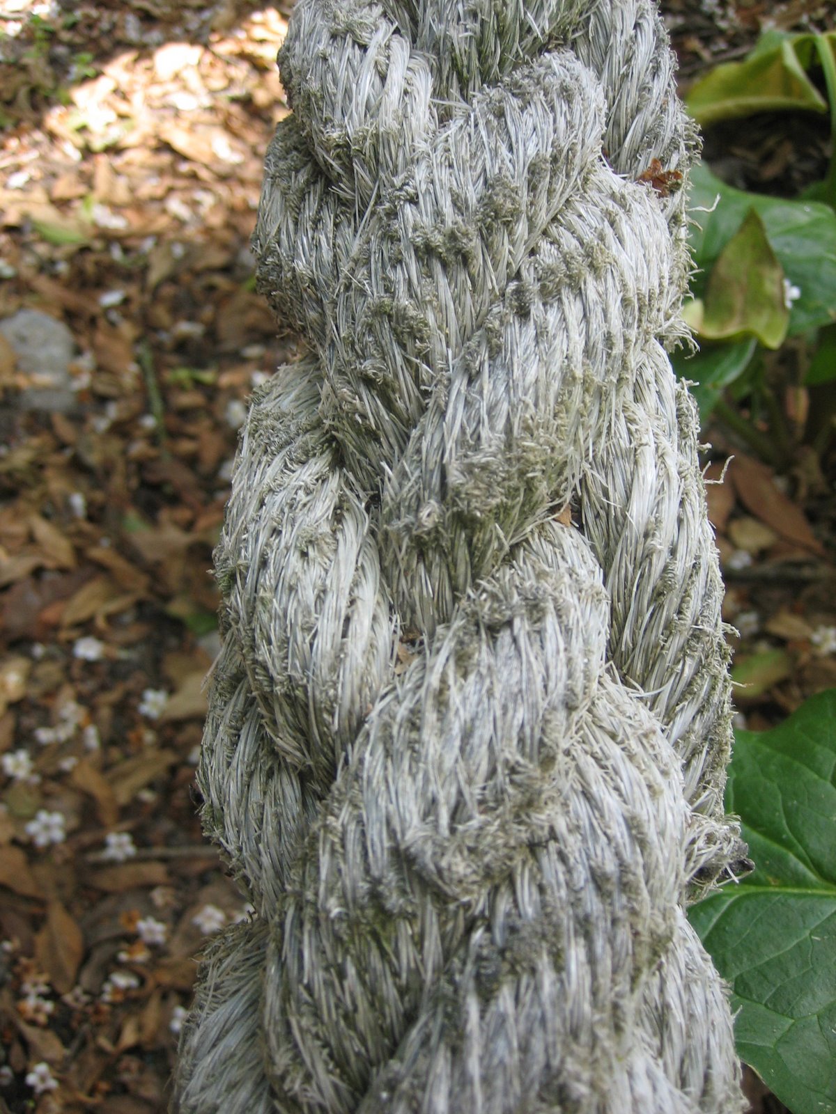 [IMG_5112.JPG]