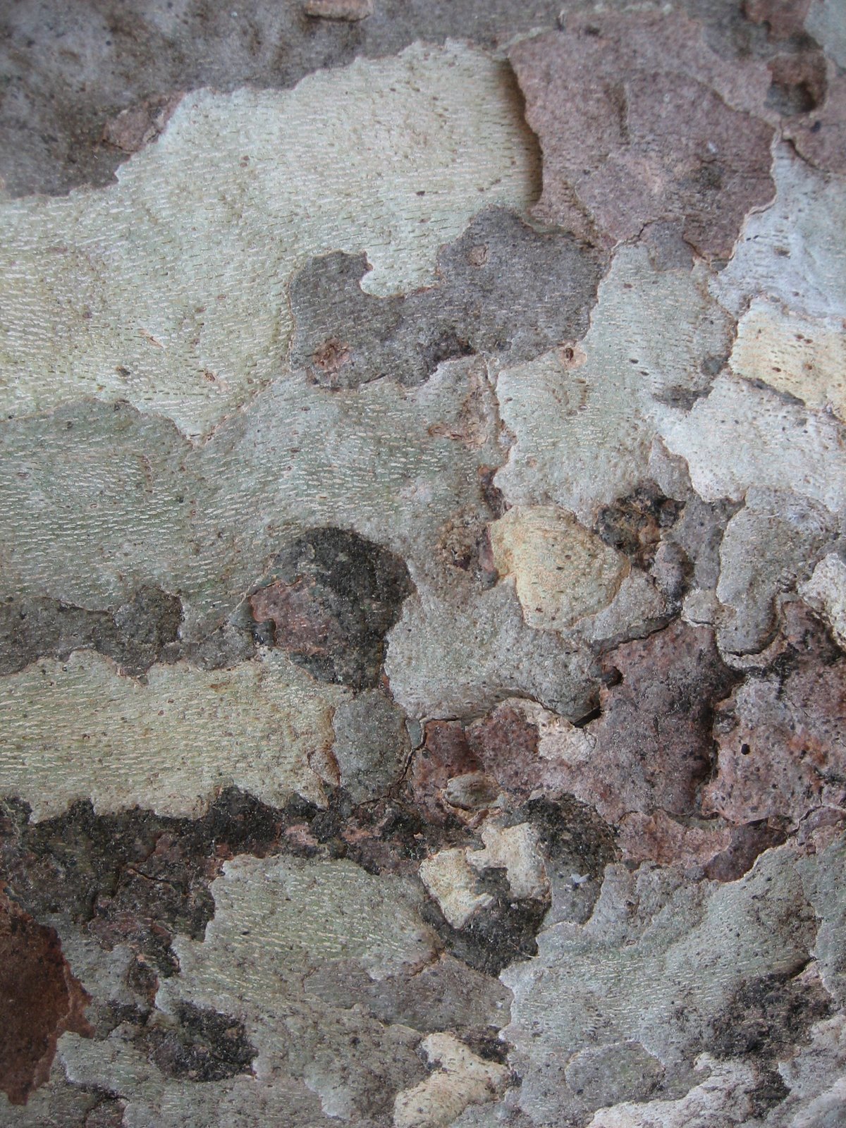 [IMG_5255.JPG]