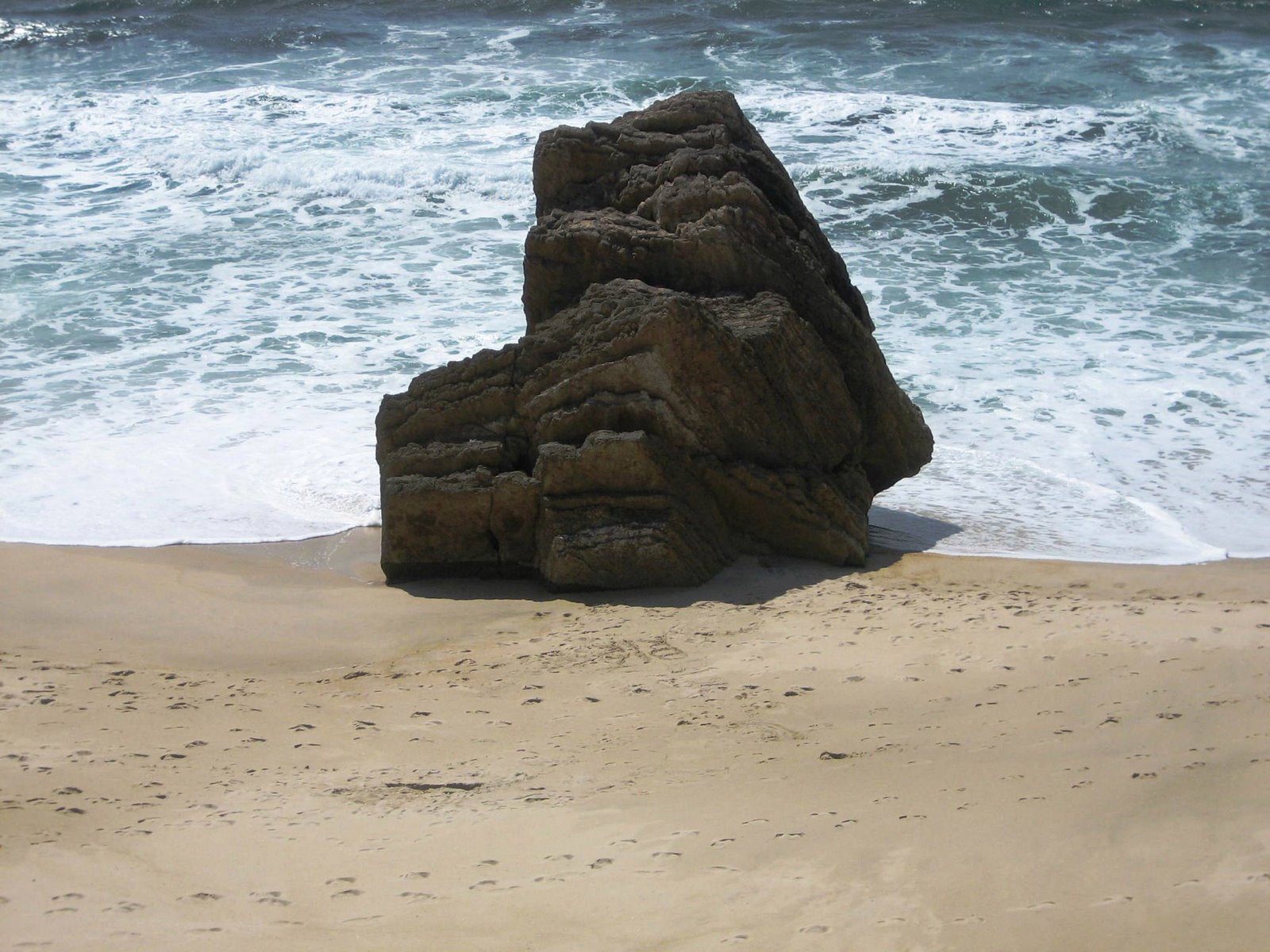 [IMG_9434.JPG]