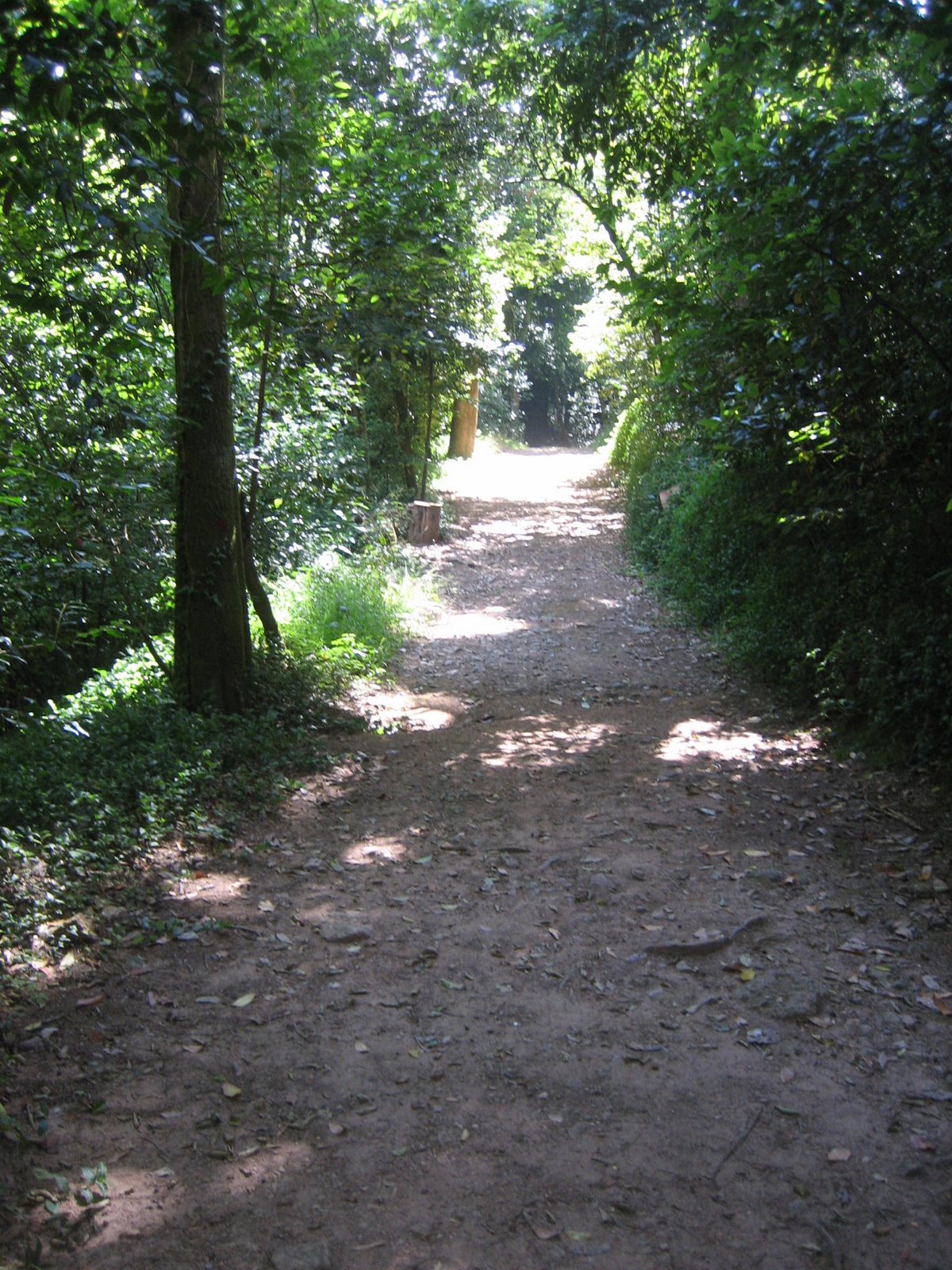 [IMG_9673.JPG]