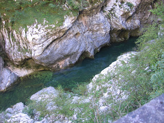 Alabama Football #12 Helmet