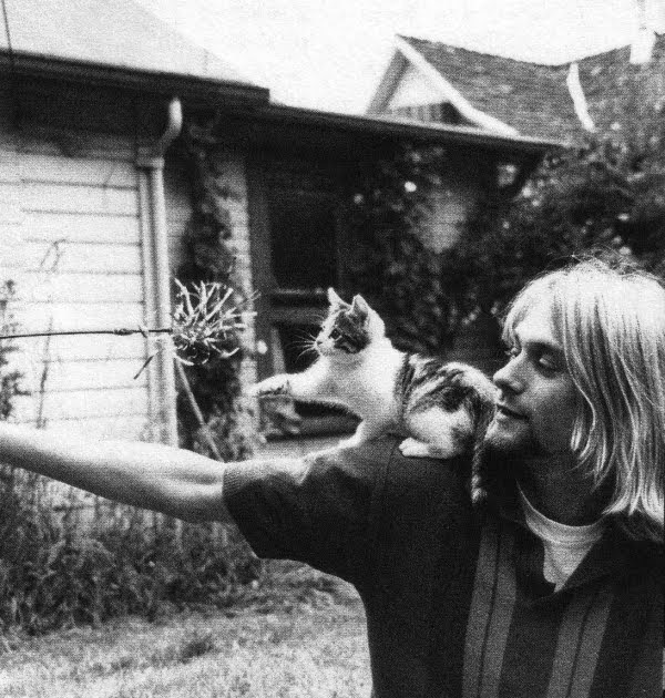 earinna Kedi ve Kurt
