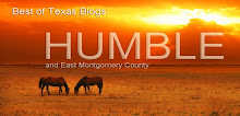 Best Of Texas Blogs: Humble, Texas