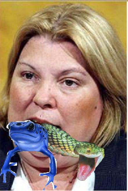 [carrio.JPG]