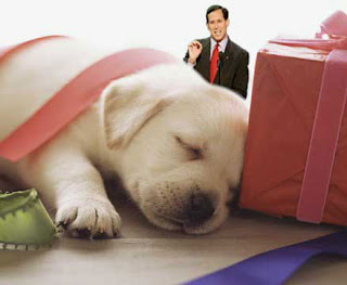 Newbornpuppies Care on How To Take Care Of A New Puppy Muaa Baby Pets Clothes