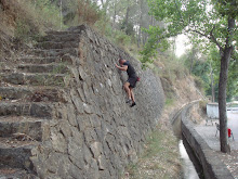Arañuel