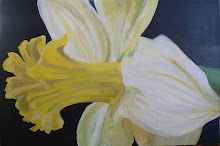 Daffodil