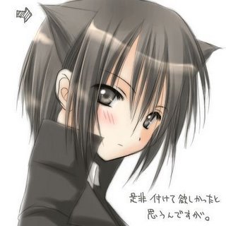 [untitled.bmp]