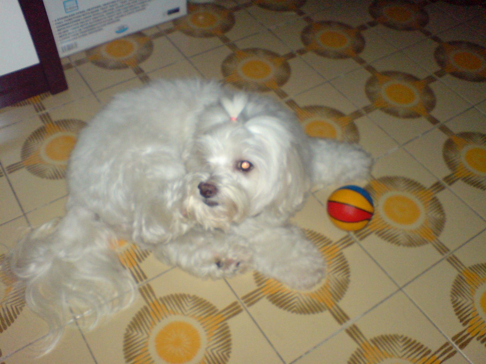 [DSC02361.JPG]