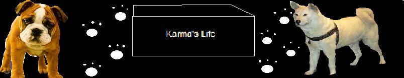 Karma's Life