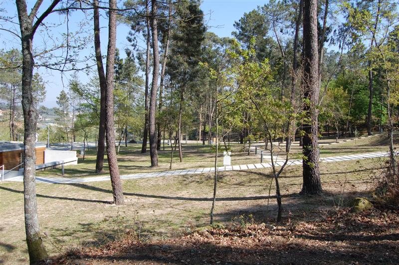 [DSC_0059+(Medium).JPG]