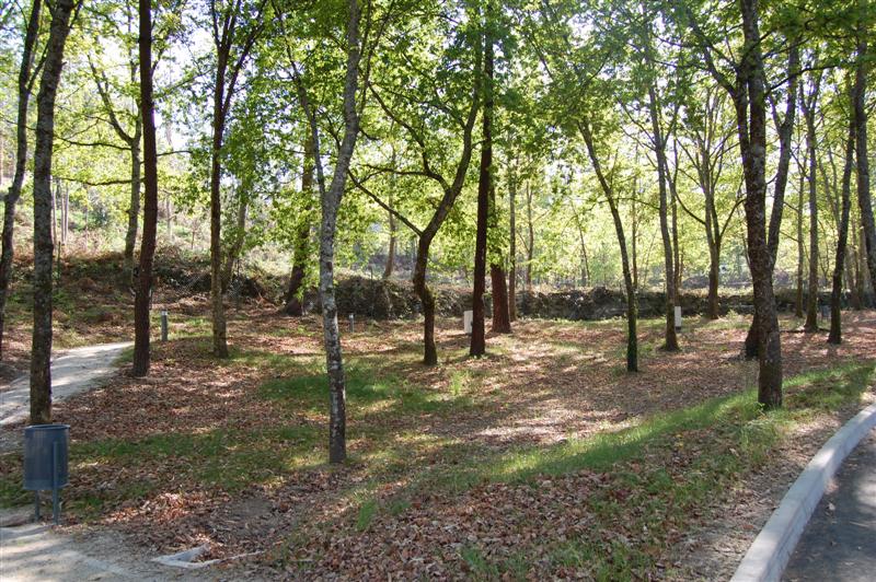 [DSC_0103+(Medium).JPG]