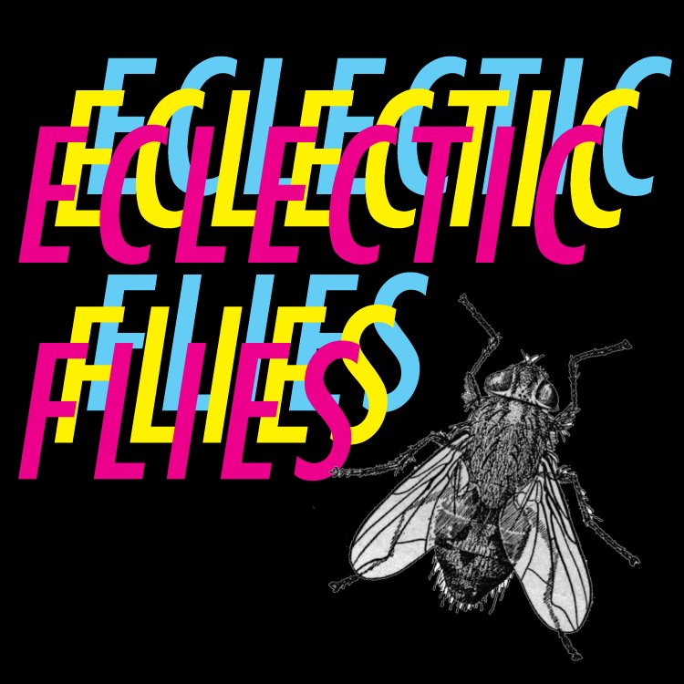 eclectic flies