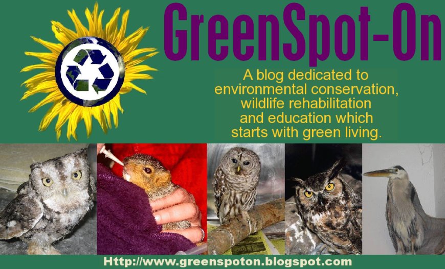 GreenSpot-On