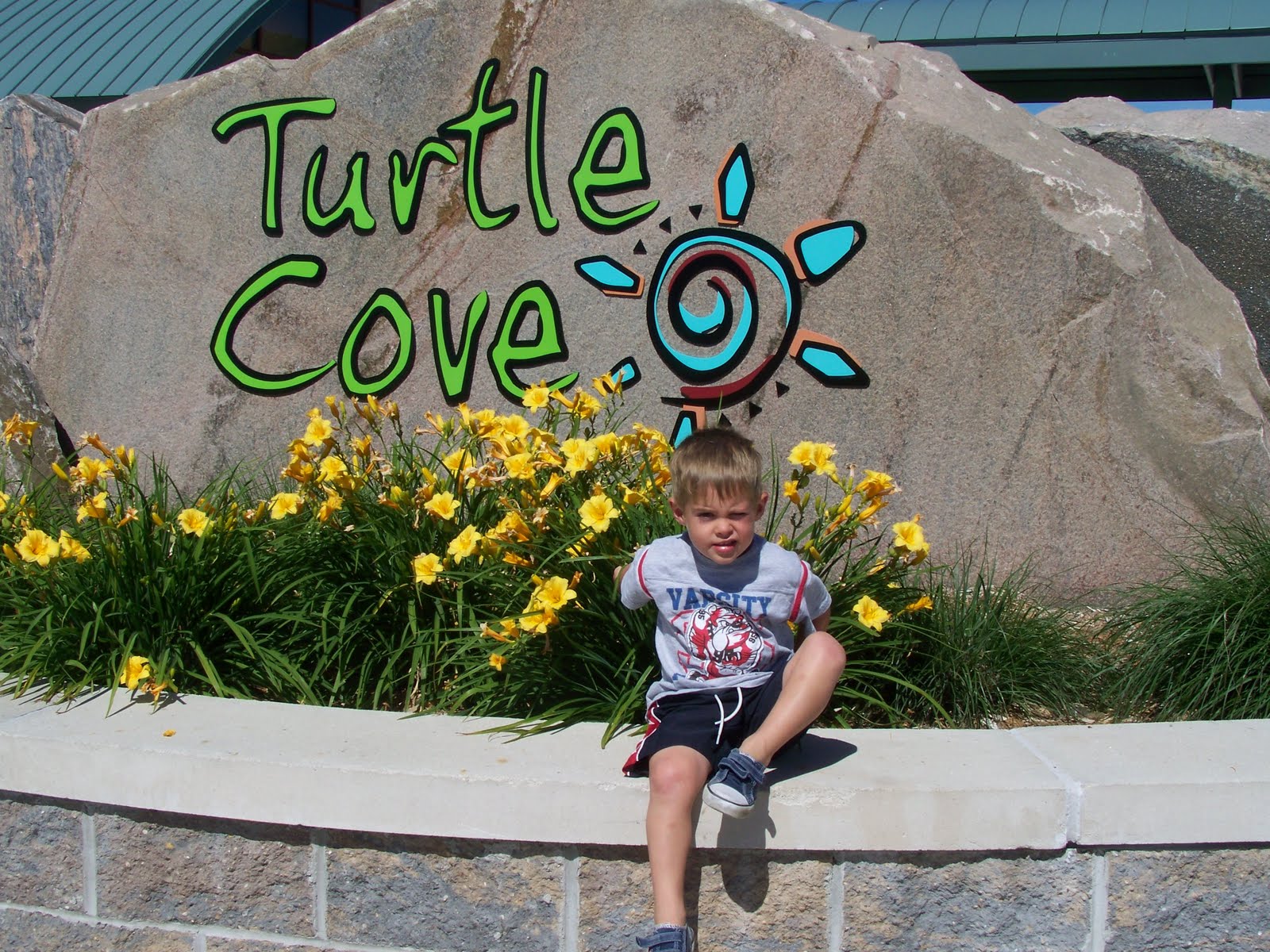 My Life Turtle Cove
