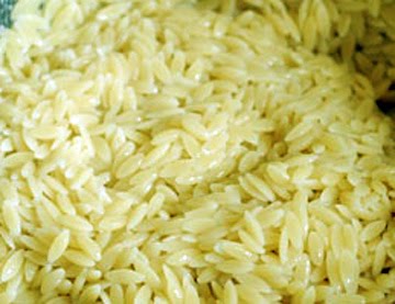 baby orzo