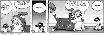 Get Fuzzy - Exercise bike + Jogging