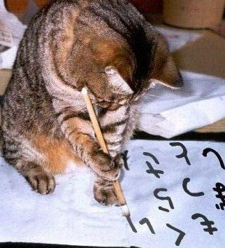 Letters Animals Nd Letter E Letters Animals Nd Letter E
