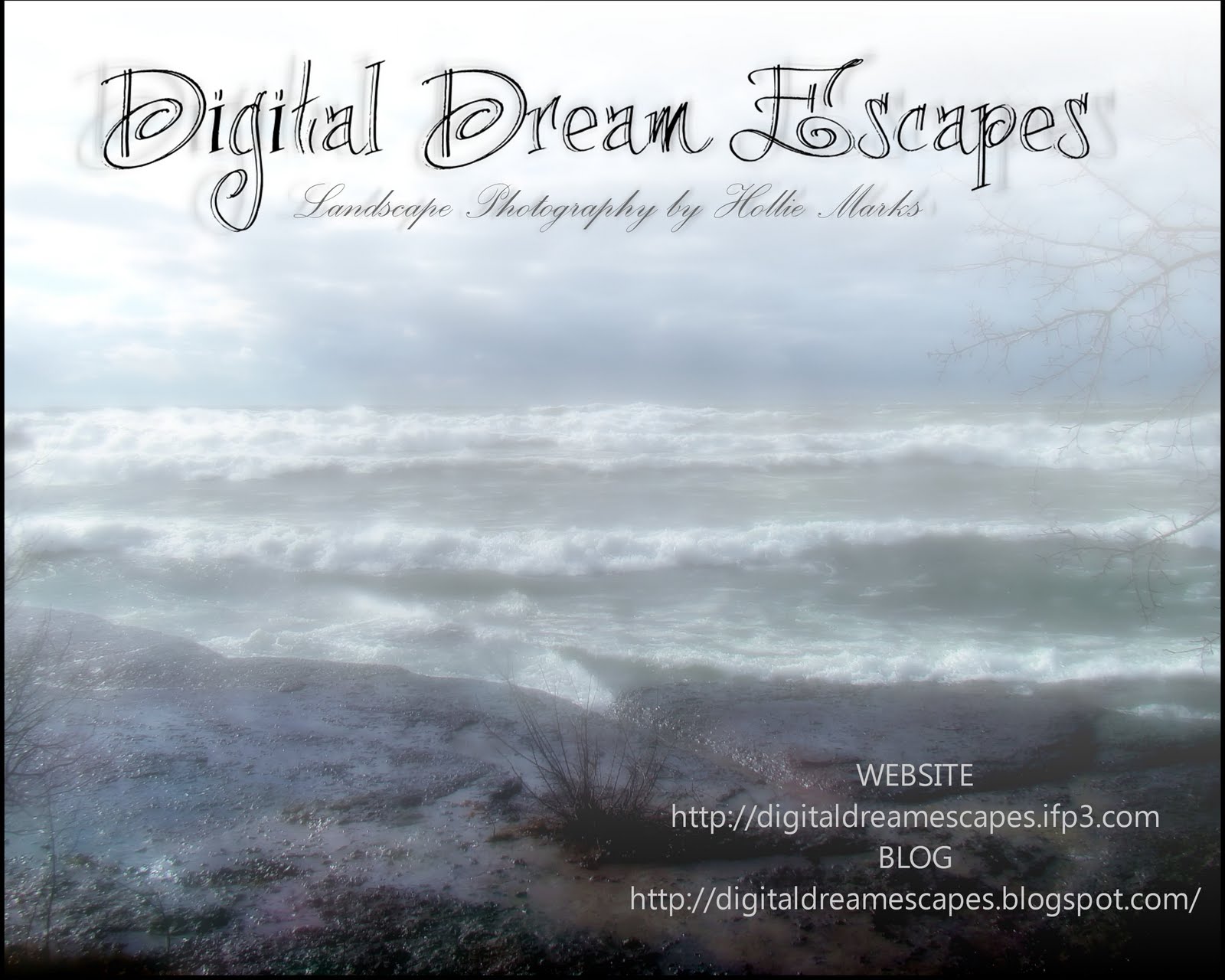 Digital Dream Escapes