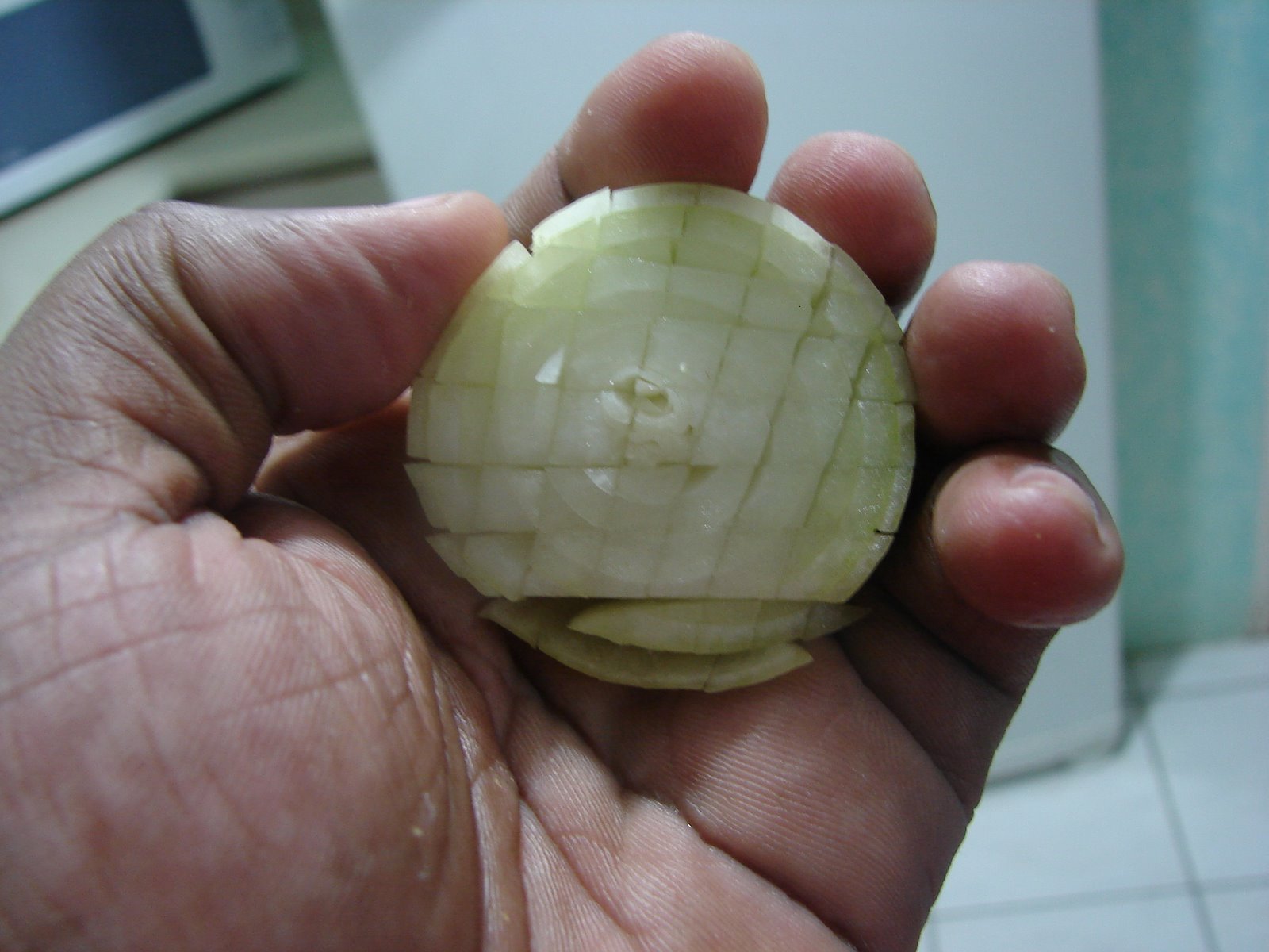 [DSC04204.JPG]
