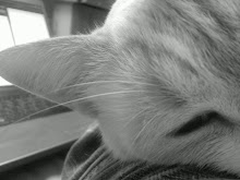 Ma photo