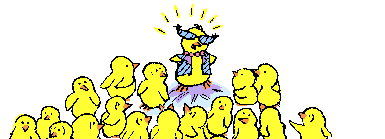 [pintinho3.gif]