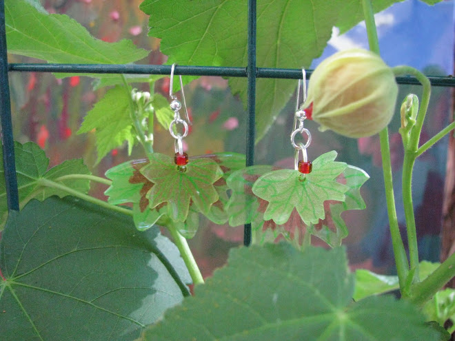 pelargonium leaves