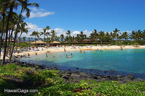 Best Beaches In Waikoloa Best Beaches In Waikoloa